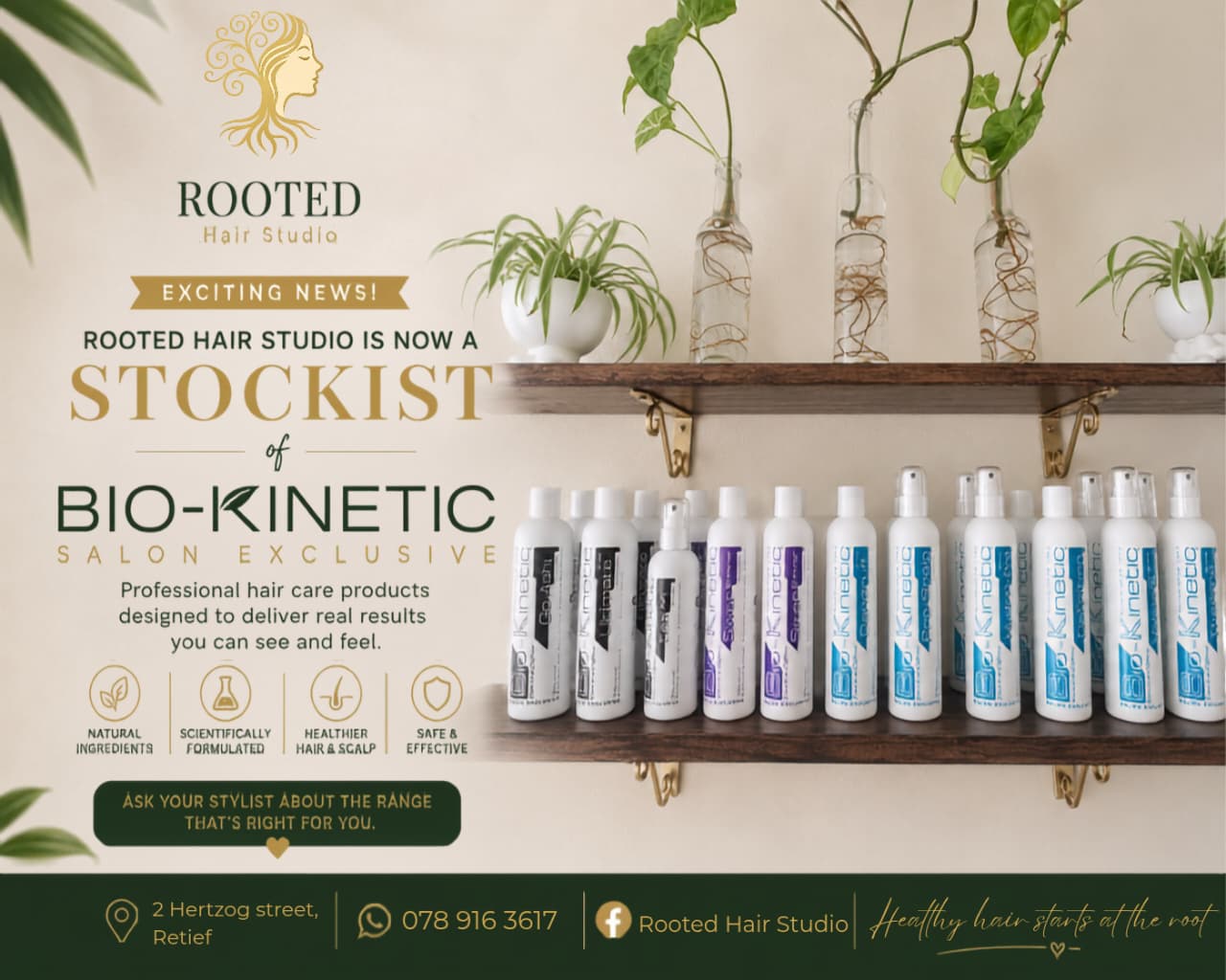 Rooted Hair Studio current special offer